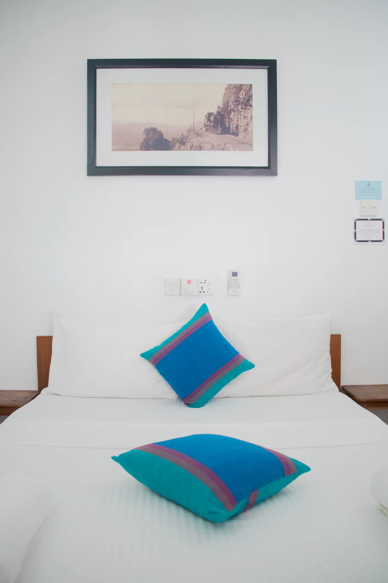Handloom cushions