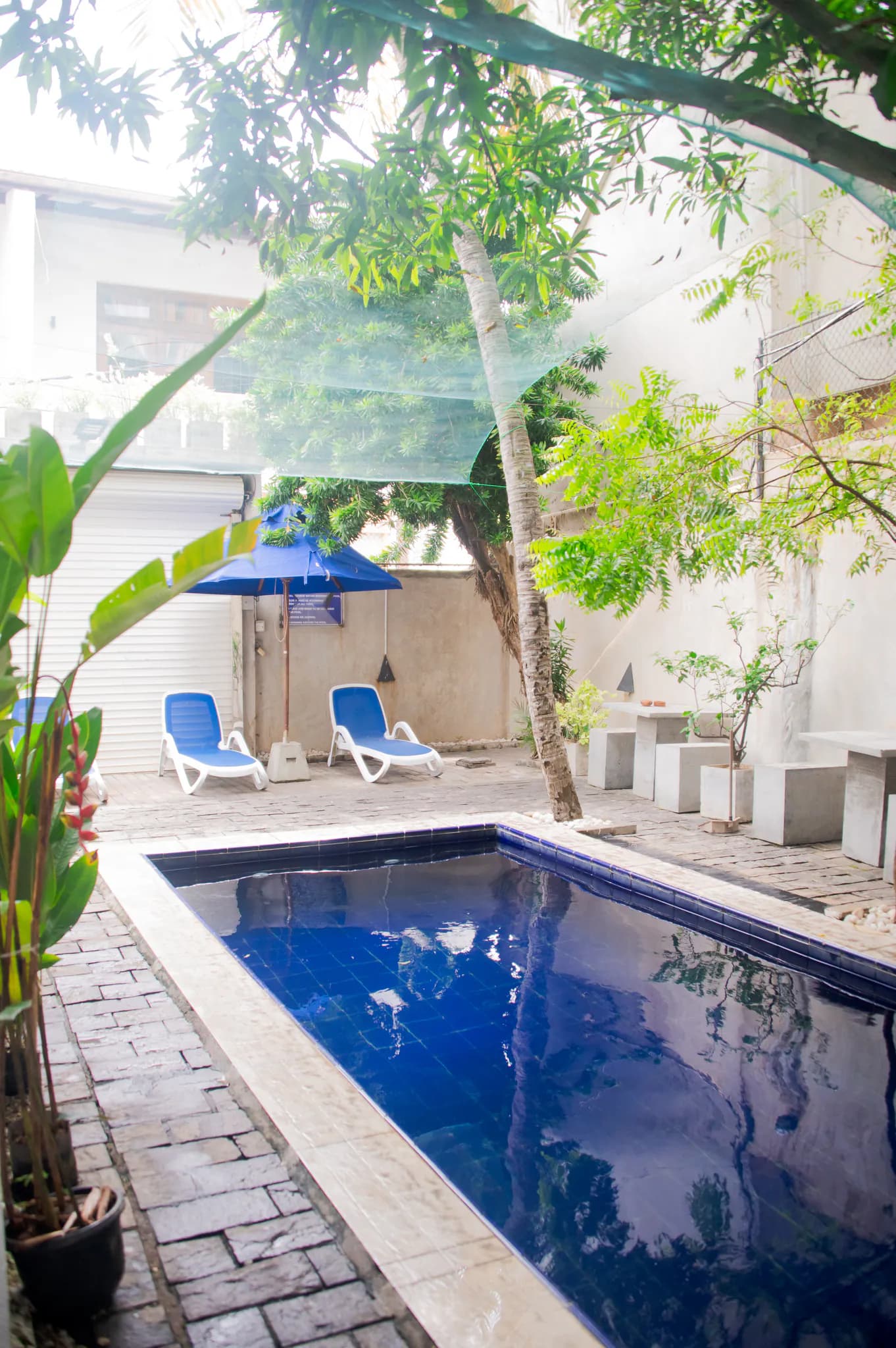 The plunge pool