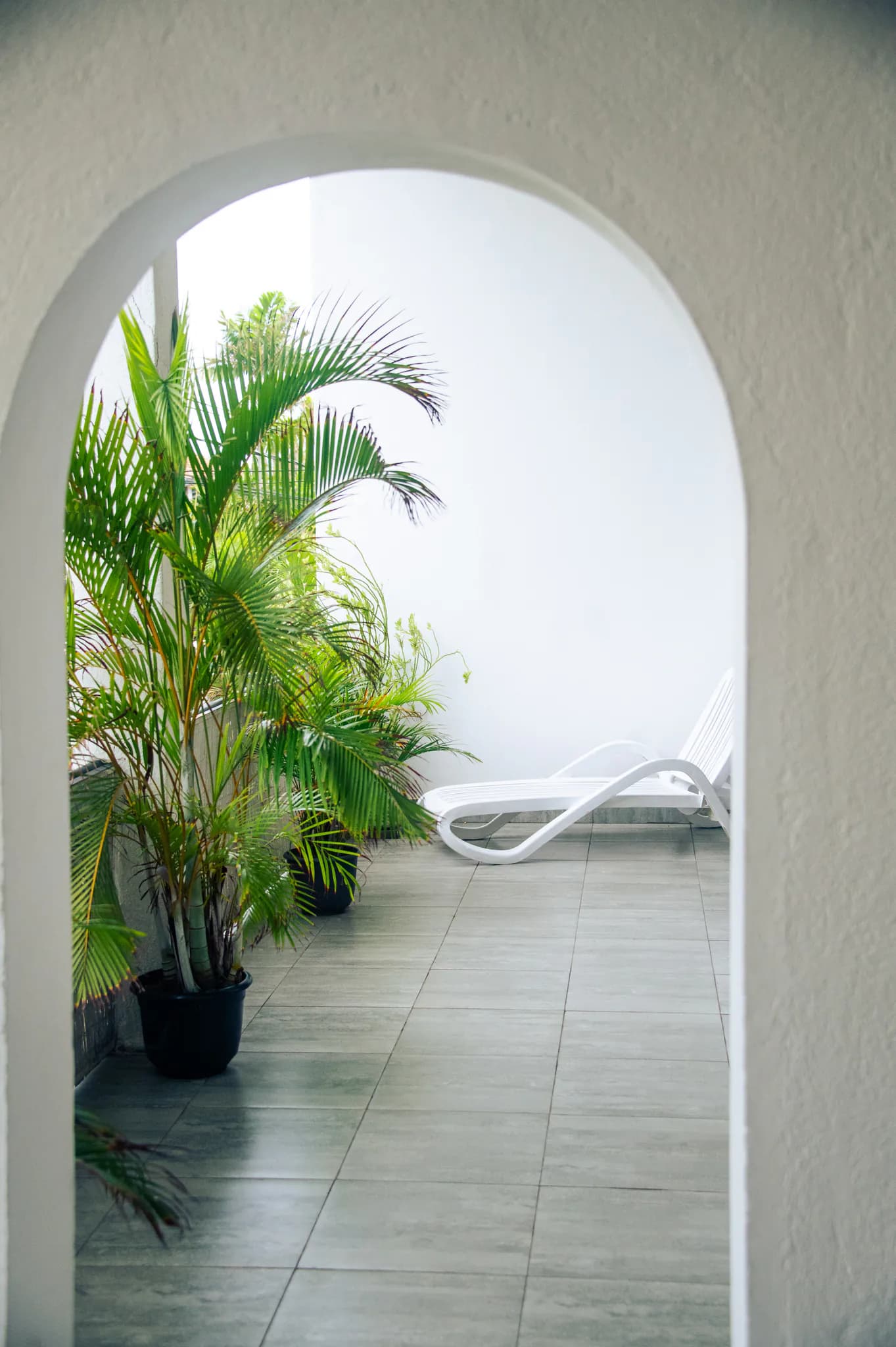 A whitewashed arched doorway opening onto palms